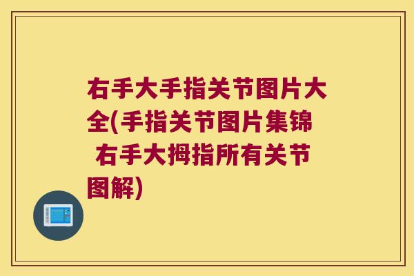 右手大手指关节图片大全(手指关节图片集锦 右手大拇指所有关节图解)