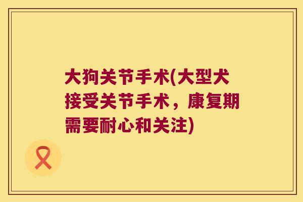 大狗关节手术(大型犬接受关节手术，康复期需要耐心和关注)