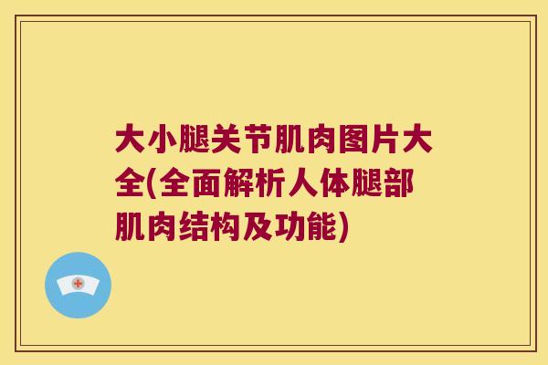 大小腿关节肌肉图片大全(全面解析人体腿部肌肉结构及功能) 大小腿关节肌肉图片大全(全面解析人体腿部肌肉结构及功能)