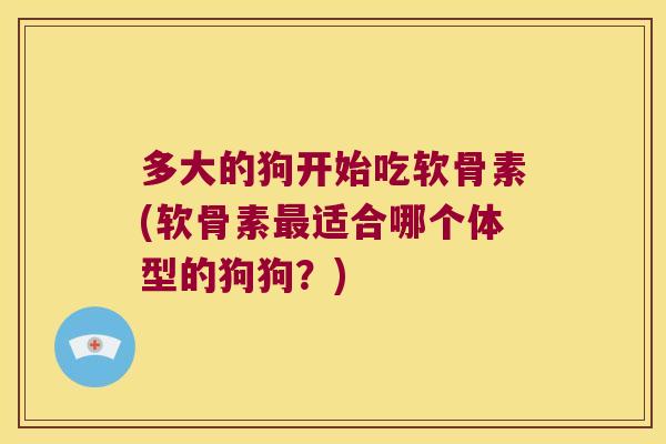 多大的狗开始吃软骨素(软骨素适合哪个体型的狗狗？)