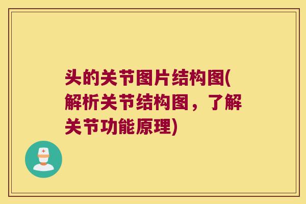 头的关节图片结构图(解析关节结构图，了解关节功能原理)