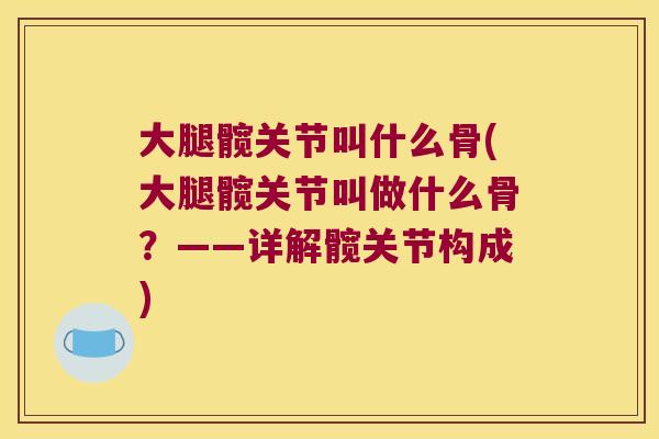 大腿髋关节叫什么骨(大腿髋关节叫做什么骨？——详解髋关节构成)