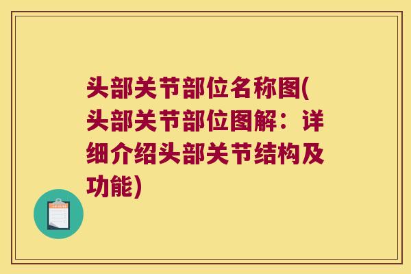 头部关节部位名称图(头部关节部位图解：详细介绍头部关节结构及功能)