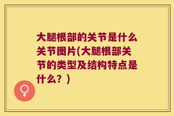 大腿根部的关节是什么关节图片(大腿根部关节的类型及结构特点是什么?) 大腿根部的关节是什么关节图片(大腿根部关节的类型及结构特点是什么?)