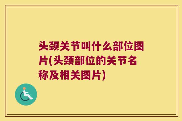 头颈关节叫什么部位图片(头颈部位的关节名称及相关图片) 头颈关节叫什么部位图片(头颈部位的关节名称及相关图片)