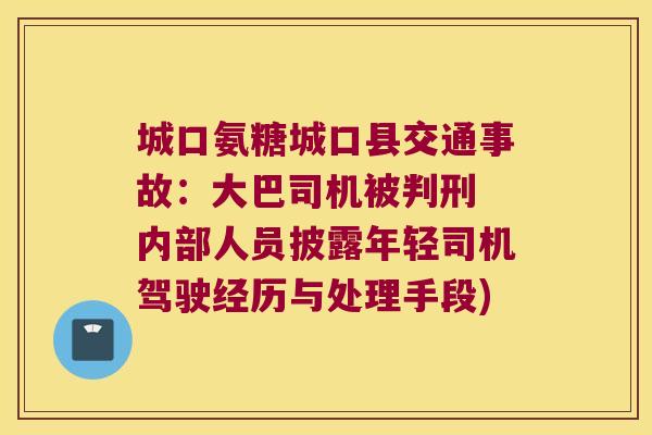 城口氨糖城口县交通事故：大巴司机被判刑 内部人员披露年轻司机驾驶经历与处理手段)