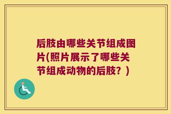 后肢由哪些关节组成图片(照片展示了哪些关节组成动物的后肢？)
