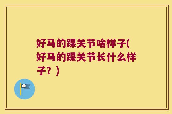好马的踝关节啥样子(好马的踝关节长什么样子?) 好马的踝关节啥样子(好马的踝关节长什么样子?)