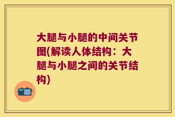 大腿与小腿的中间关节图(解读人体结构：大腿与小腿之间的关节结构)