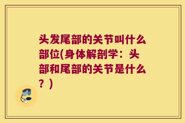 头发尾部的关节叫什么部位(身体解剖学：头部和尾部的关节是什么？)