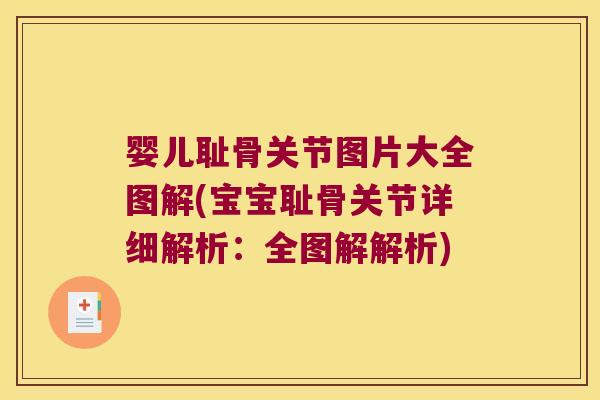 婴儿耻骨关节图片大全图解(宝宝耻骨关节详细解析：全图解解析)
