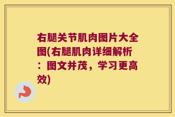 右腿关节肌肉图片大全图(右腿肌肉详细解析:图文并茂,学习更高效) 右腿关节肌肉图片大全图(右腿肌肉详细解析:图文并茂,学习更高效)
