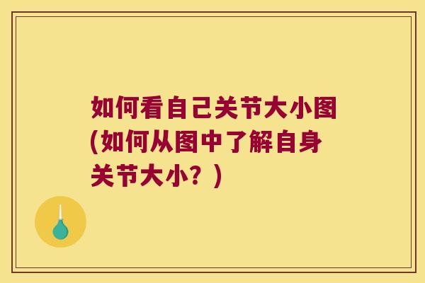 如何看自己关节大小图(如何从图中了解自身关节大小？)