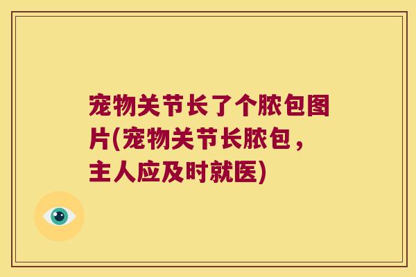 宠物关节长了个脓包图片(宠物关节长脓包,主人应及时就医) 宠物关节长了个脓包图片(宠物关节长脓包,主人应及时就医)