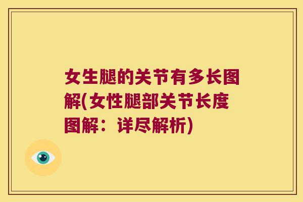 女生腿的关节有多长图解(女性腿部关节长度图解:详尽解析) 女生腿的关节有多长图解(女性腿部关节长度图解:详尽解析)