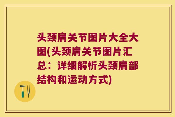 头颈肩关节图片大全大图(头颈肩关节图片汇总:详细解析头颈肩部结构和运动方式) 头颈肩关节图片大全大图(头颈肩关节图片汇总:详细解析头颈肩部结构和运动方式)