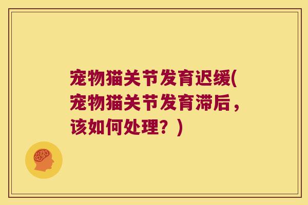 宠物猫关节发育迟缓(宠物猫关节发育滞后,该如何处理?) 宠物猫关节发育迟缓(宠物猫关节发育滞后,该如何处理?)