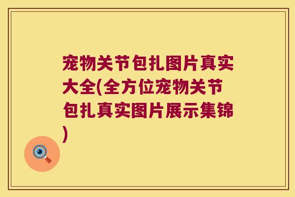 宠物关节包扎图片真实大全(全方位宠物关节包扎真实图片展示集锦)