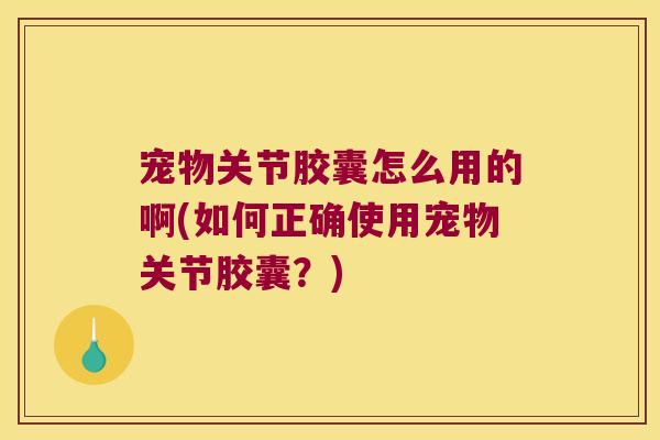 宠物关节胶囊怎么用的啊(如何正确使用宠物关节胶囊?) 宠物关节胶囊怎么用的啊(如何正确使用宠物关节胶囊?)