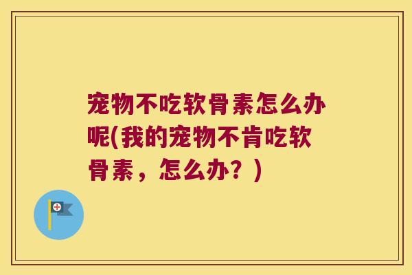 宠物不吃软骨素怎么办呢(我的宠物不肯吃软骨素,怎么办?) 宠物不吃软骨素怎么办呢(我的宠物不肯吃软骨素,怎么办?)