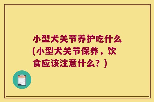 小型犬关节养护吃什么(小型犬关节保养，饮食应该注意什么？)