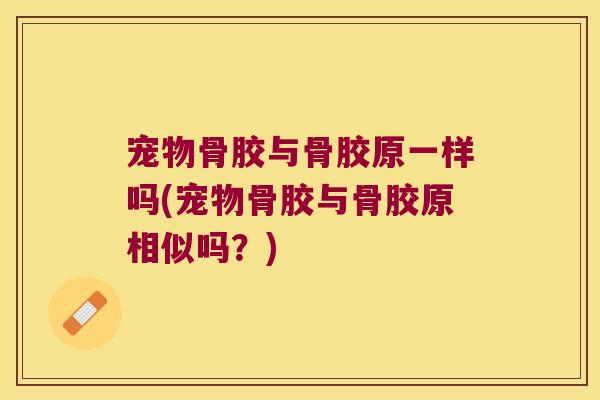 宠物骨胶与骨胶原一样吗(宠物骨胶与骨胶原相似吗？)