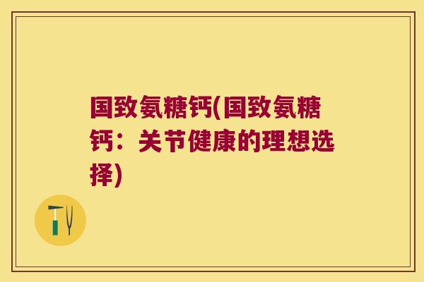 国致氨糖钙(国致氨糖钙：关节健康的理想选择)