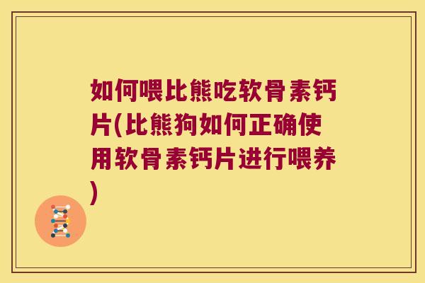 如何喂比熊吃软骨素钙片(比熊狗如何正确使用软骨素钙片进行喂养)