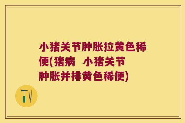小猪关节拉黄色稀便(猪  小猪关节并排黄色稀便)