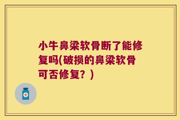 小牛鼻梁软骨断了能修复吗(破损的鼻梁软骨可否修复？)