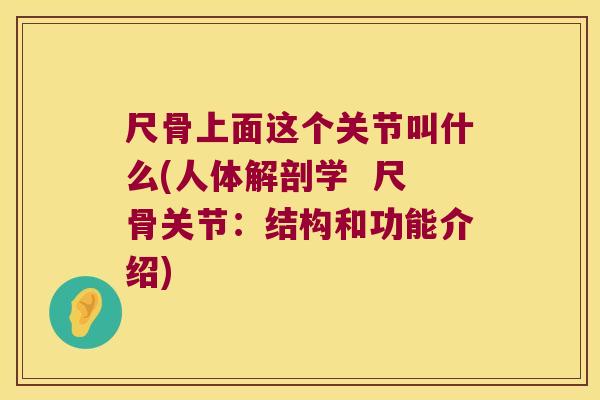 尺骨上面这个关节叫什么(人体解剖学 尺骨关节:结构和功能介绍) 尺骨上面这个关节叫什么(人体解剖学 尺骨关节:结构和功能介绍)
