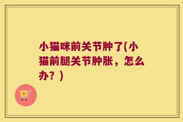 小猫咪前关节肿了(小猫前腿关节，怎么办？)