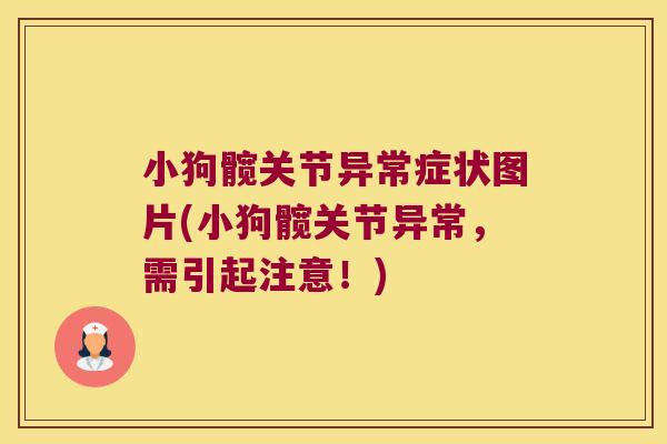 小狗髋关节异常症状图片(小狗髋关节异常，需引起注意！)