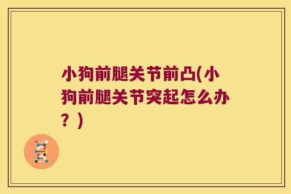 小狗前腿关节前凸(小狗前腿关节突起怎么办?) 小狗前腿关节前凸(小狗前腿关节突起怎么办?)