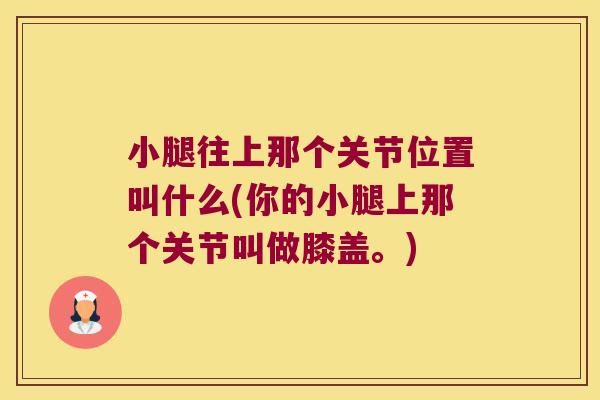 小腿往上那个关节位置叫什么(你的小腿上那个关节叫做膝盖。)