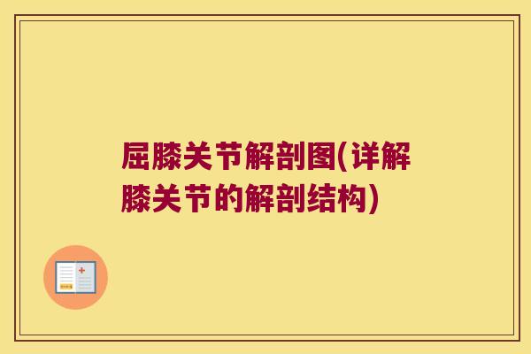 屈膝关节解剖图(详解膝关节的解剖结构)