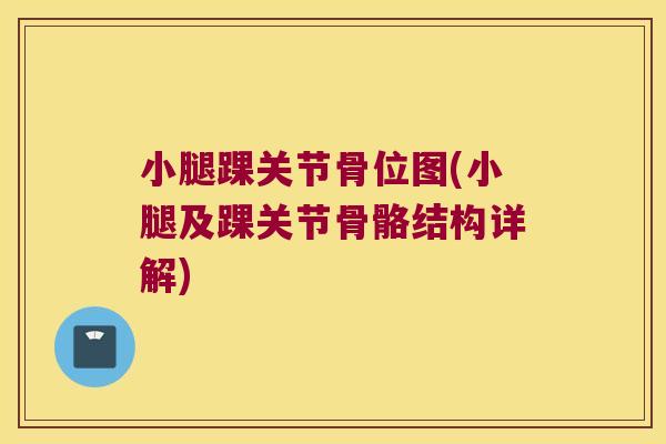 小腿踝关节骨位图(小腿及踝关节骨骼结构详解) 小腿踝关节骨位图(小腿及踝关节骨骼结构详解)