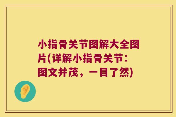 小指骨关节图解大全图片(详解小指骨关节:图文并茂,一目了然) 小指骨关节图解大全图片(详解小指骨关节:图文并茂,一目了然)