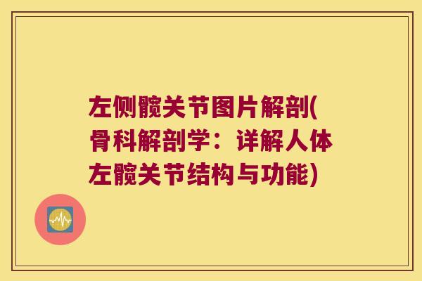左侧髋关节图片解剖(骨科解剖学:详解人体左髋关节结构与功能) 左侧髋关节图片解剖(骨科解剖学:详解人体左髋关节结构与功能)