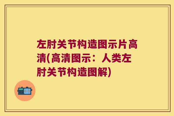 左肘关节构造图示片高清(高清图示：人类左肘关节构造图解)
