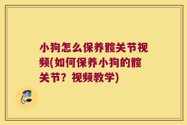 小狗怎么保养髋关节视频(如何保养小狗的髋关节？视频教学)