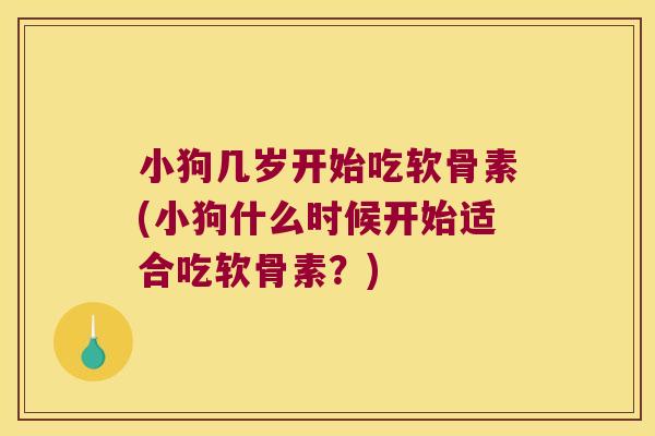 小狗几岁开始吃软骨素(小狗什么时候开始适合吃软骨素?) 小狗几岁开始吃软骨素(小狗什么时候开始适合吃软骨素?)