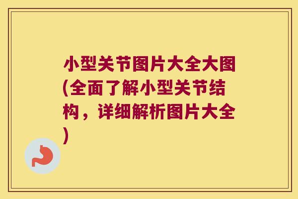小型关节图片大全大图(全面了解小型关节结构，详细解析图片大全)