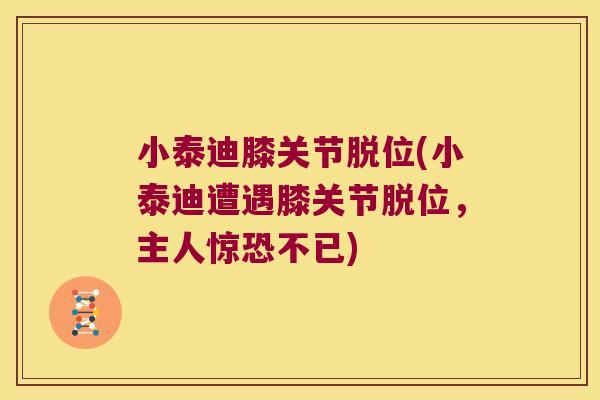 小泰迪膝关节脱位(小泰迪遭遇膝关节脱位，主人惊恐不已)