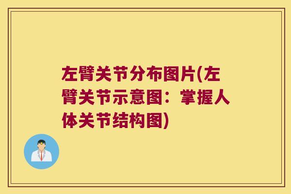 左臂关节分布图片(左臂关节示意图：掌握人体关节结构图)