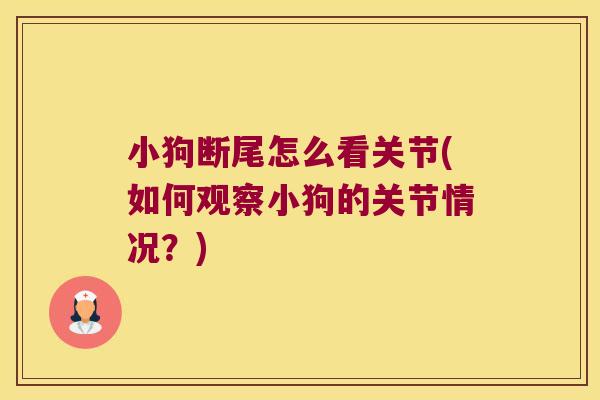 小狗断尾怎么看关节(如何观察小狗的关节情况?) 小狗断尾怎么看关节(如何观察小狗的关节情况?)