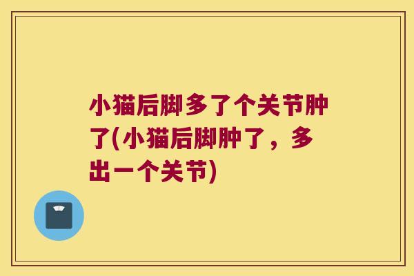小猫后脚多了个关节肿了(小猫后脚肿了,多出一个关节) 小猫后脚多了个关节肿了(小猫后脚肿了,多出一个关节)