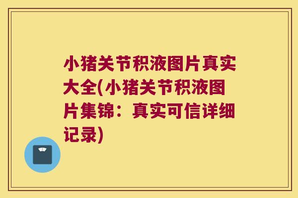 小猪关节积液图片真实大全(小猪关节积液图片集锦：真实可信详细记录)