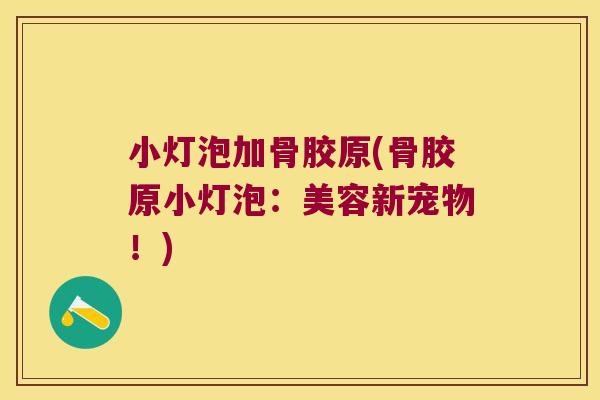 小灯泡加骨胶原(骨胶原小灯泡：美容新宠物！)