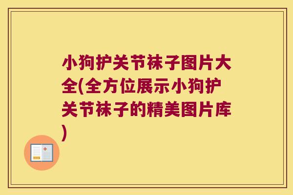 小狗护关节袜子图片大全(全方位展示小狗护关节袜子的精美图片库)